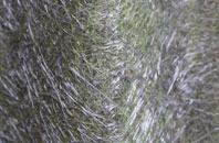 Shafton Two Gates fibreglass roof work